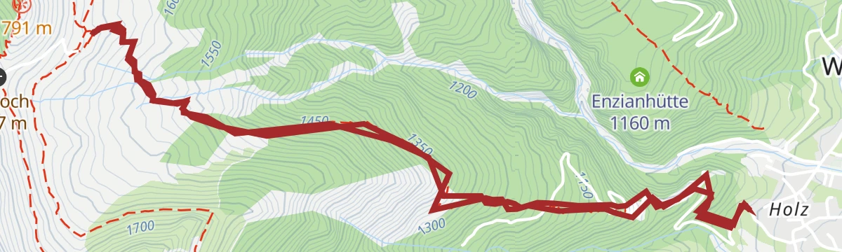 Route map: Wanderung zur Lechaschauer Alm